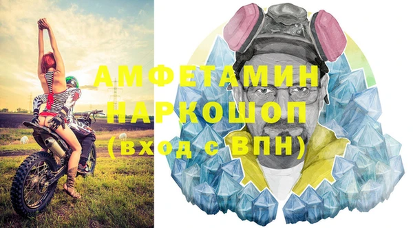 гашик Богданович