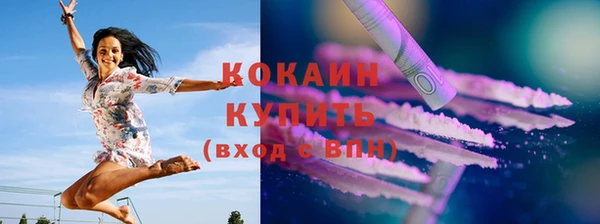 гашик Богданович