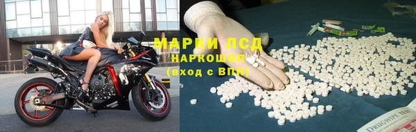 гашик Богданович